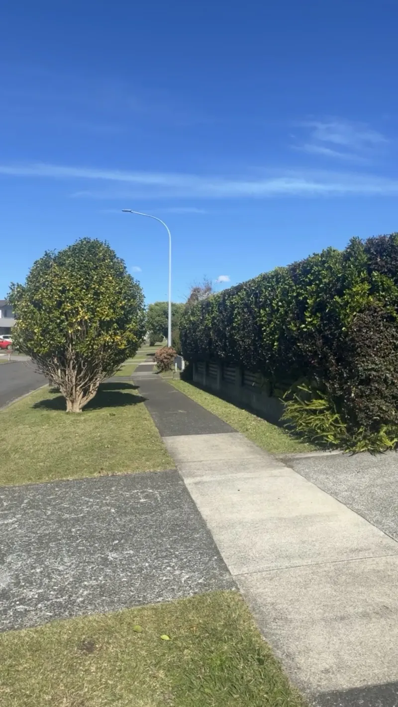 Wahitapu Contracting hedge trimming and shaping in Whangamata
